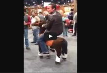 Arnold Schwarzenegger andando de cavalo 2