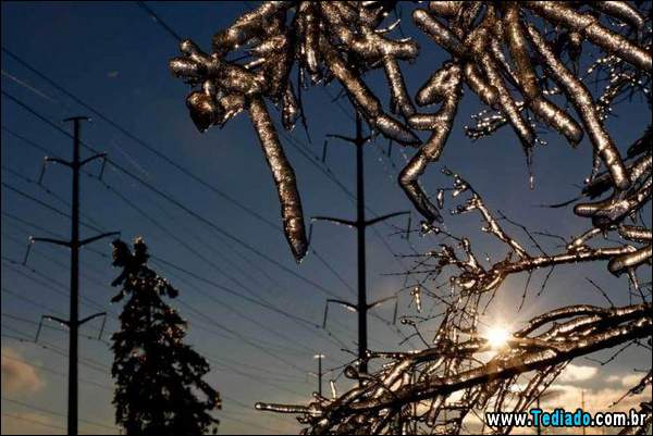 fotos_interessantes_13