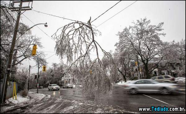 fotos_interessantes_15