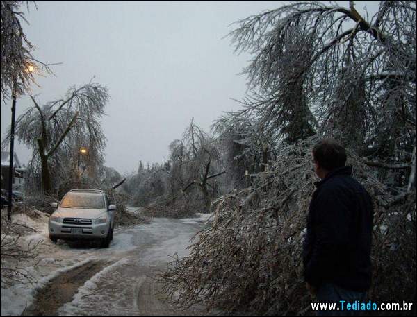 fotos_interessantes_21