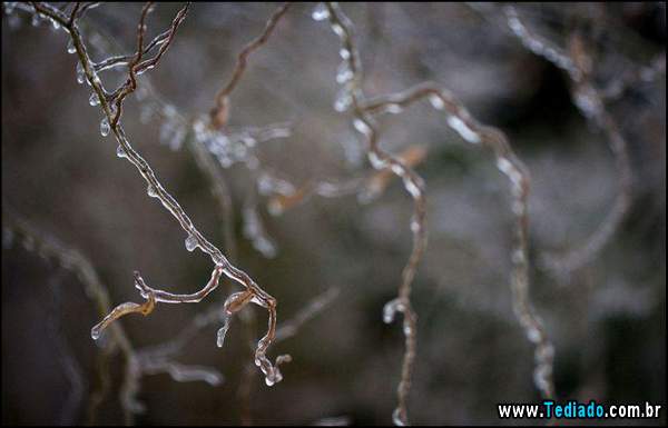 fotos_interessantes_25