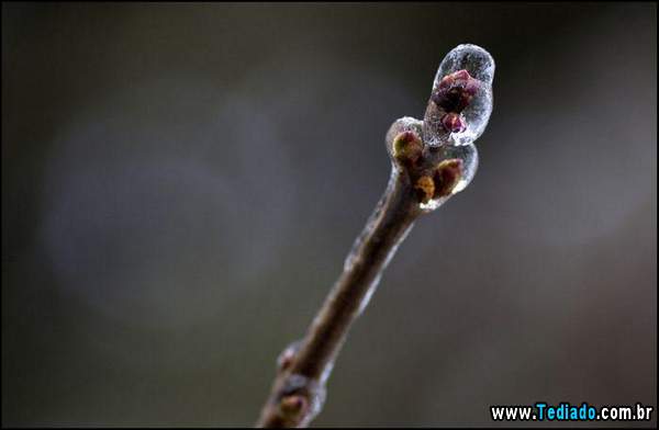 fotos_interessantes_27