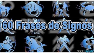 60 Frases de Signos 2