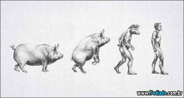 evolucao_humanidade_21