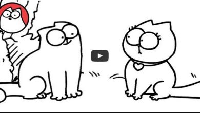 Gato Simon – E a namorada 5