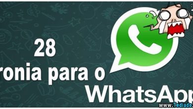 28 Ironia para o Whatsapp 6