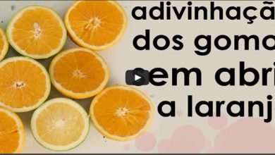 O segredo dos gomos da laranja 7