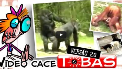 VídeoCaceTOBAS Versão 2.0 9