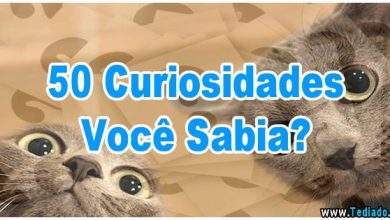 50 Curiosidades Você Sabia? 8
