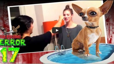 Pastor Metralhadora TERROR 17 5