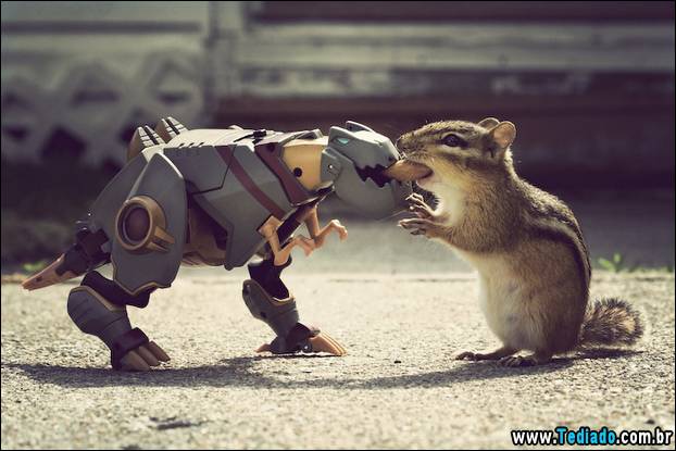 PUBLISHED by catsmob.com