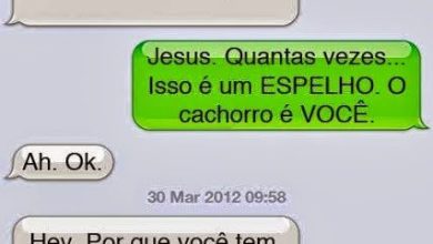 Cachorro com whatsapp é outra coisa 50