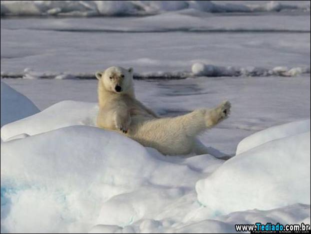 fotos_emocionantes_11