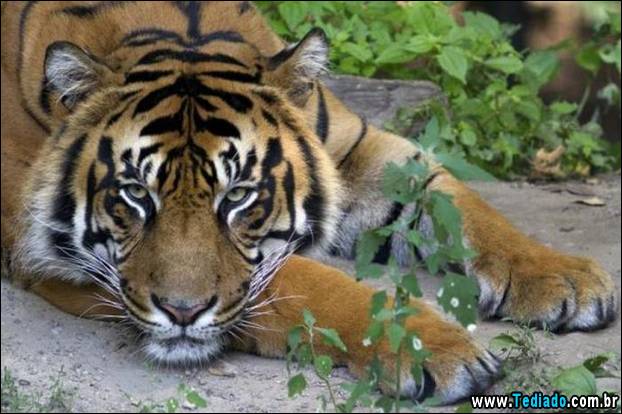 fotos_emocionantes_12