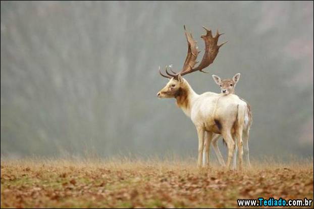 fotos_emocionantes_19