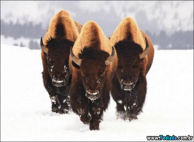 fotos_emocionantes_21