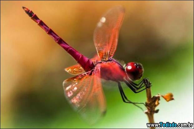 fotos_emocionantes_22