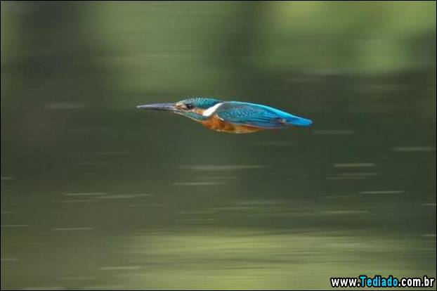 fotos_emocionantes_24