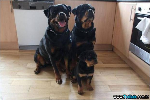 fotos_emocionantes_29