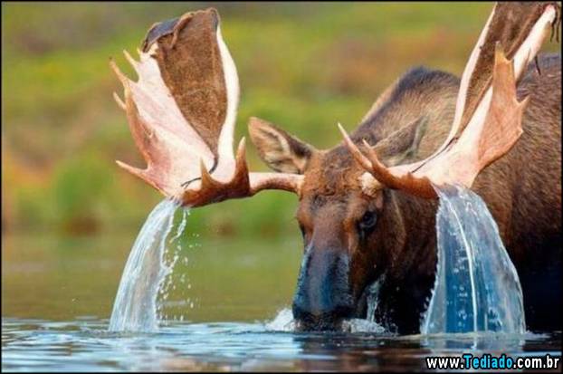 fotos_emocionantes_34