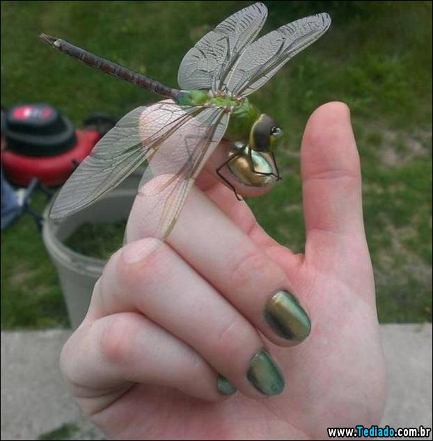 fotos_emocionantes_35