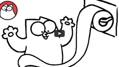 Gato Simon – No banheiro 5