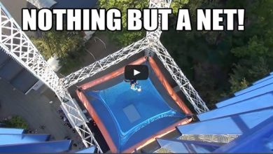 O novo brinquedinho de um parque dinamarquês 6