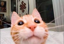 Imagens diversas #01 (32 fotos) 49