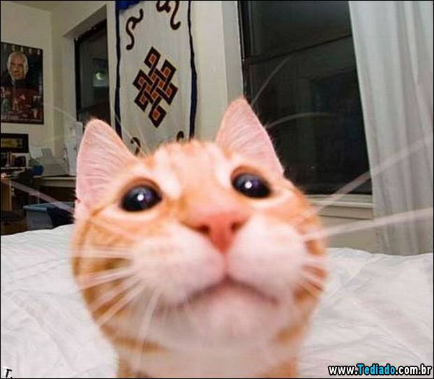 imagens_diversas_02