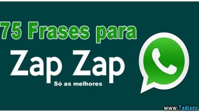 75 Frases para Zap Zap - Só as melhores 6