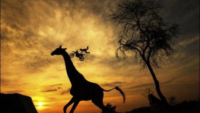 Melhores Fotos de setembro (35 fotos) 39