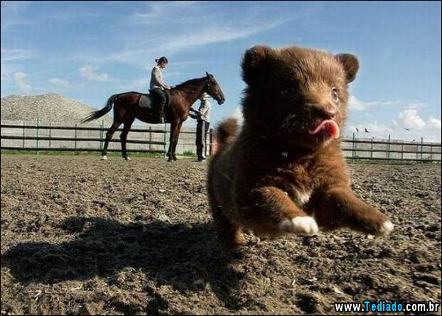 imagens-diversas-02