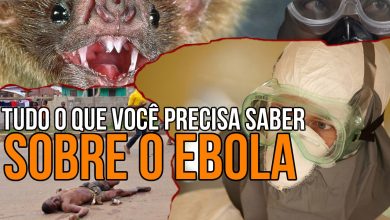 Tudo o que você precisa saber sobre o Ebola 29