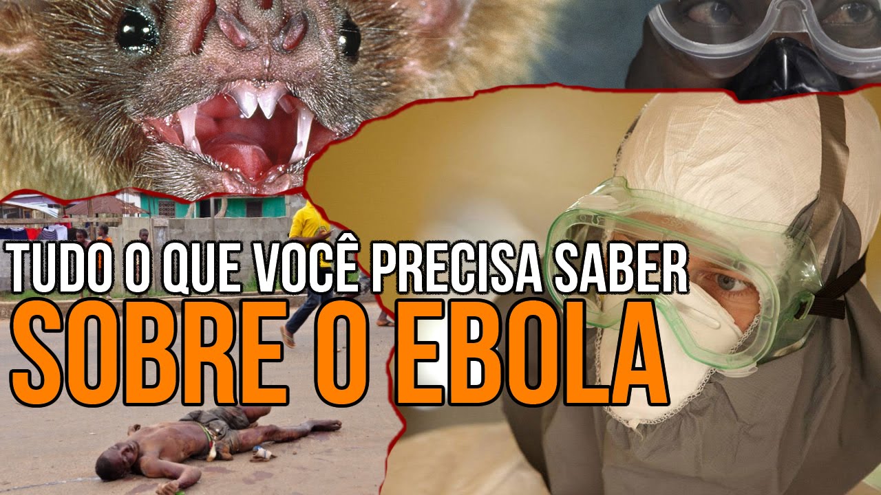 Tudo o que você precisa saber sobre o Ebola