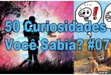 50 Curiosidades Você Sabia? #07 5