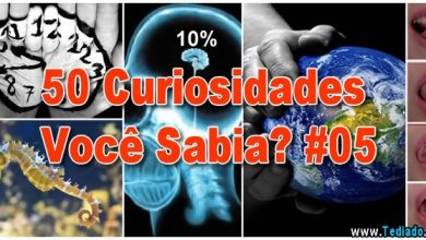 50 Curiosidades Você Sabia? #05 3