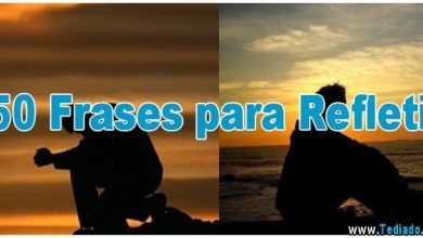 50 Frases para Refletir 6