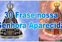 30 Frase nossa Senhora Aparecida 11