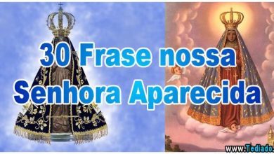 30 Frase nossa Senhora Aparecida 3