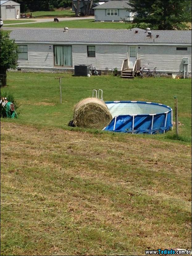 nao-estou-com-sorte-hoje-05