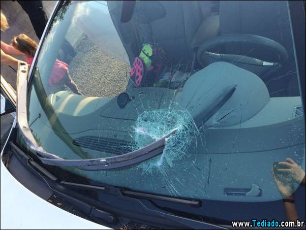 nao-estou-com-sorte-hoje-14