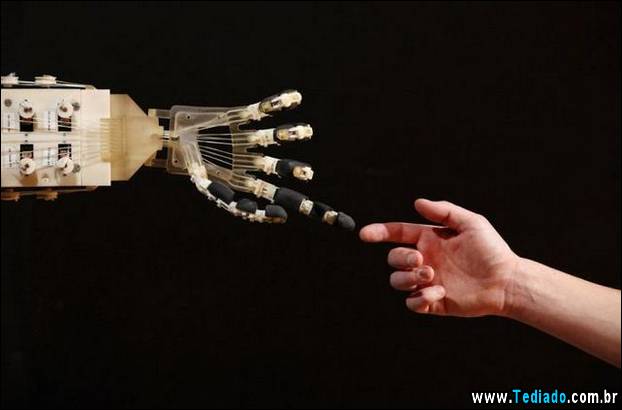 fotos-interessantes-09