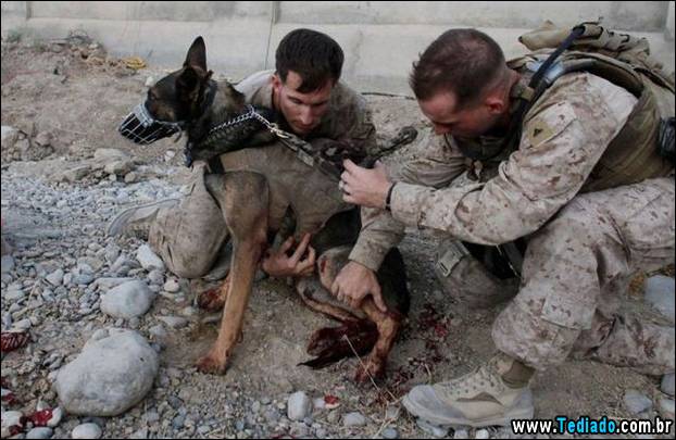 fotos-interessantes-16