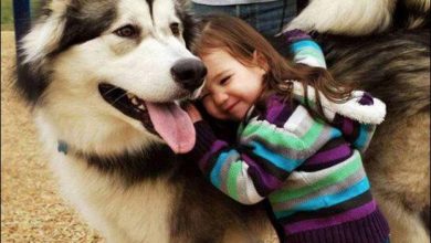 Fotos legais #54 (31 fotos) 23