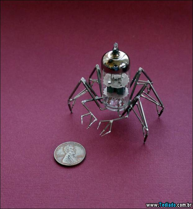 insetos-relogios-01