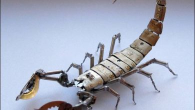 Insetos feitos com relógios velhos de Justin Gershenson-Gates (10 fotos) 10