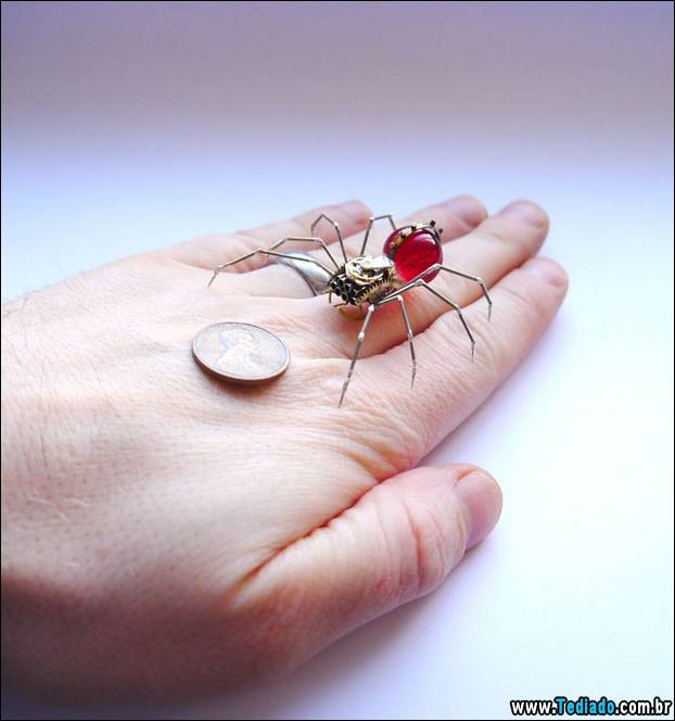 insetos-relogios-07