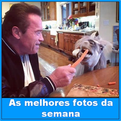 link-da-semana-06