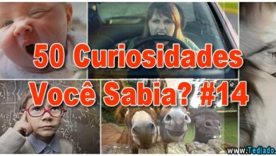 50 Curiosidades Você Sabia? #14 5