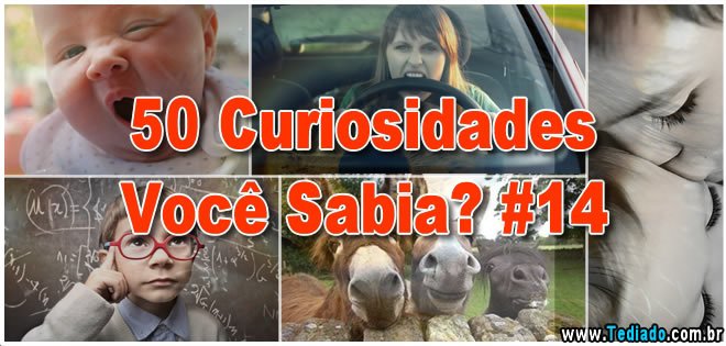 voce-sabia